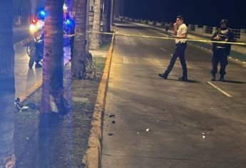 ¡Cero y van dos! Fallece motociclista tras chocar contra palmera en Mazatlán 
