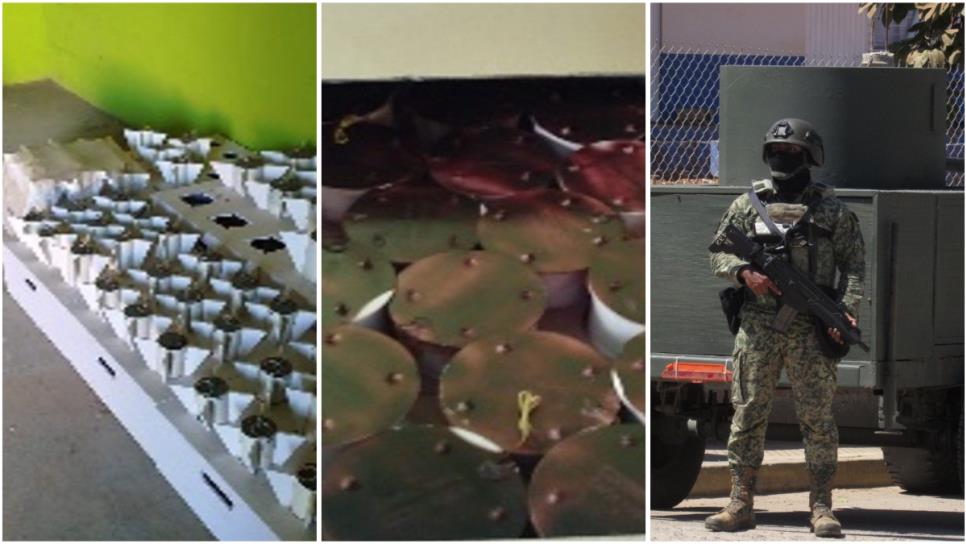 Aseguran casi 3 mil explosivos improvisados en cateo a domicilio en El Huajote, Concordia Aseguran casi 3 mil explosivos improvisados en cateo a domicilio en El Huajote, Concordia