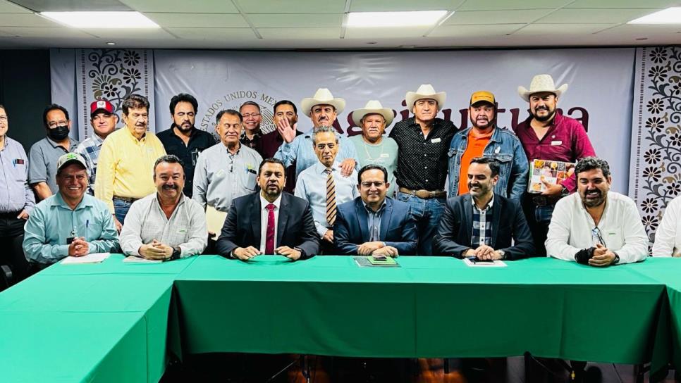 Establecen precio base de 45 dólares por tonelada para el trigo de Sinaloa y Sonora Establecen precio base de 45 dólares por tonelada para el trigo de Sinaloa y Sonora