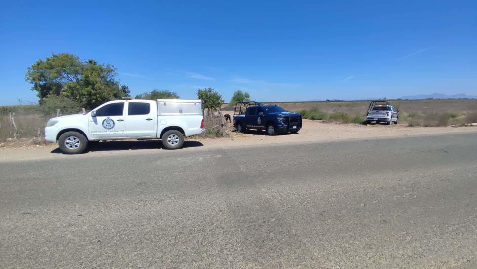 Hallan ejecutado y torturado a un hombre en el ejido Plan de San Luis en Ahome Hallan ejecutado y torturado a un hombre en el ejido Plan de San Luis en Ahome