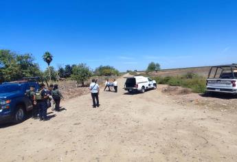 Identifican a ejecutado localizado en el ejido Plan de San Luis en Ahome