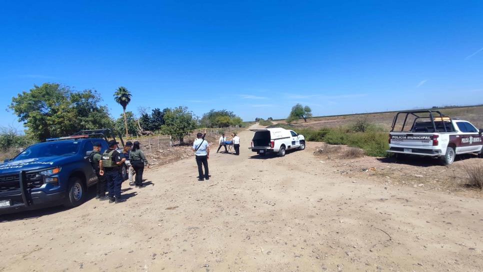 Identifican a ejecutado localizado en el ejido Plan de San Luis en Ahome Identifican a ejecutado localizado en el ejido Plan de San Luis en Ahome