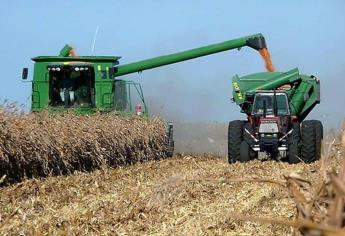 Persisten retrasos en pagos a agricultores tras un año de cosechas