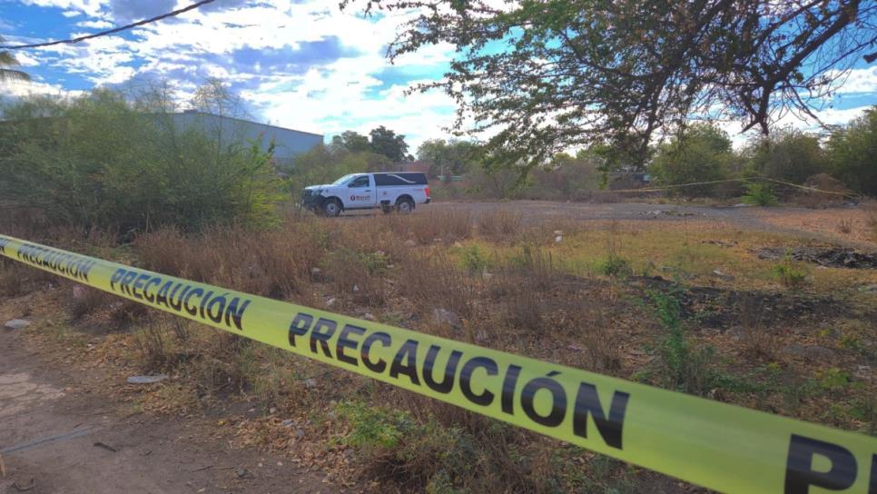 Hallan a hombre degollado cerca del distribuidor vial El Trébol, en Los Mochis Hallan a hombre degollado cerca del distribuidor vial El Trébol, en Los Mochis