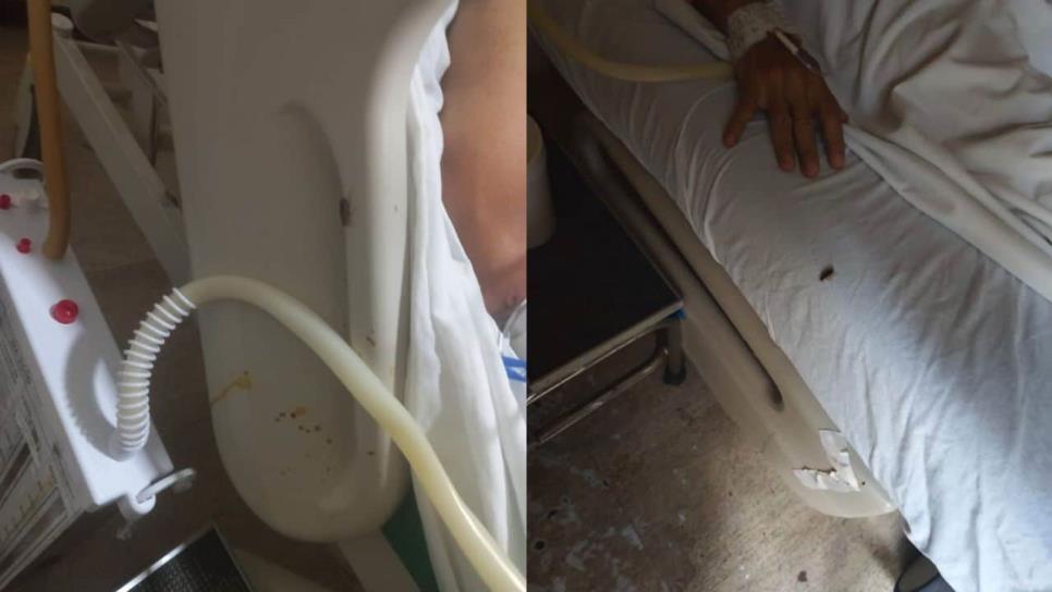 Denuncian plaga de cucarachas en el Hospital General de Los Mochis Denuncian plaga de cucarachas en el Hospital General de Los Mochis