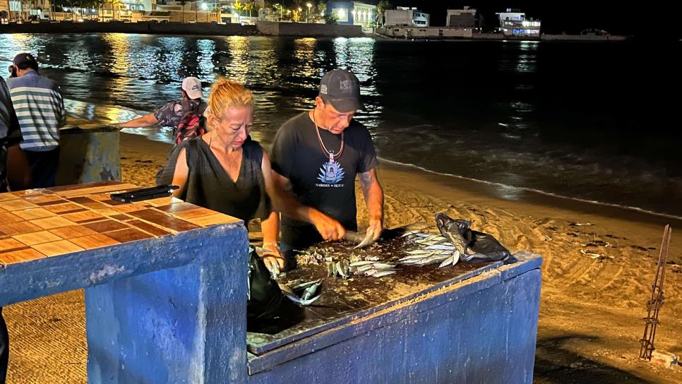 Playa Norte se viste de fiesta con el arribo del “pajarito” a Mazatlán Playa Norte se viste de fiesta con el arribo del “pajarito” a Mazatlán