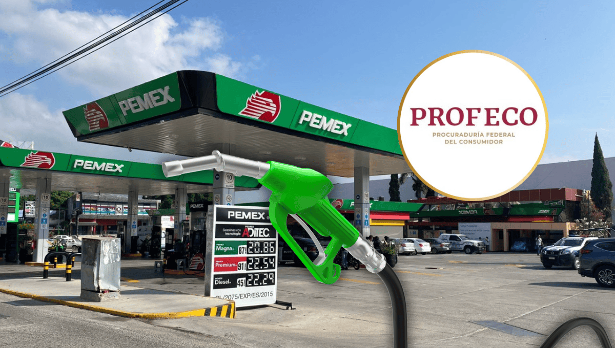 Imagen Placeholder Imagen Placeholder