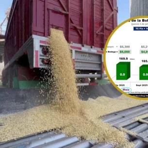 México importa el 51% del maíz que consume en 2025 ¿Dónde quedó la soberanía alimentaria?
