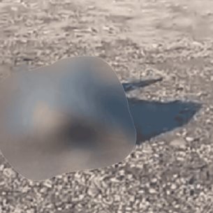 Localizan hombre sin vida en el kilómetro 37 de la autopista Mazatlán-Culiacán