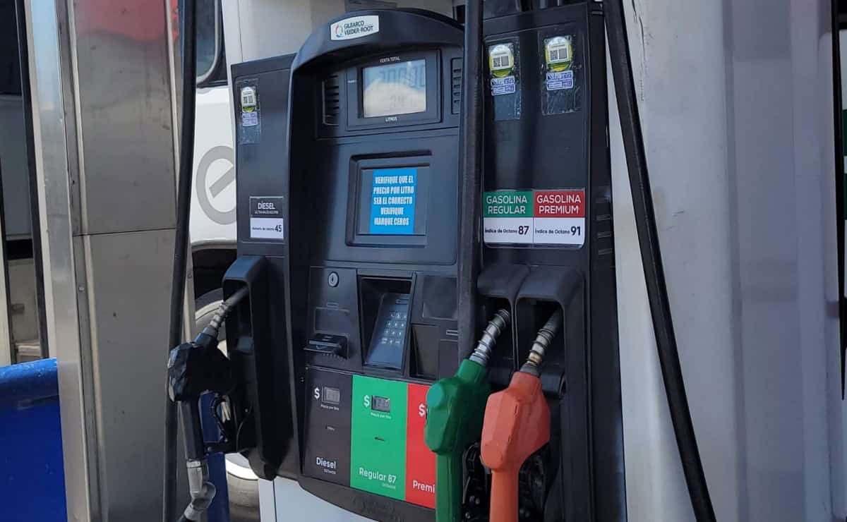 Imagen Placeholder Imagen Placeholder