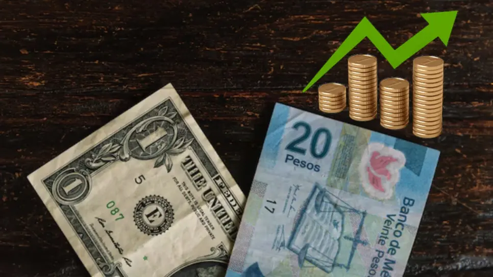 FOTO: Cortesía/FreePik.