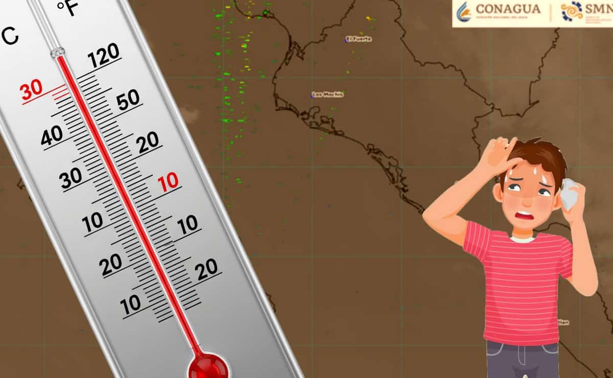 Imagen Placeholder Imagen Placeholder