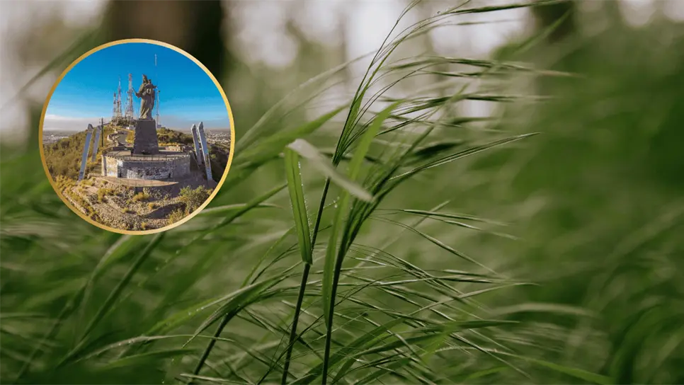 FOTO: Clima en Los Mochis.