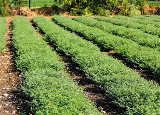 Imagen Placeholder Imagen Placeholder