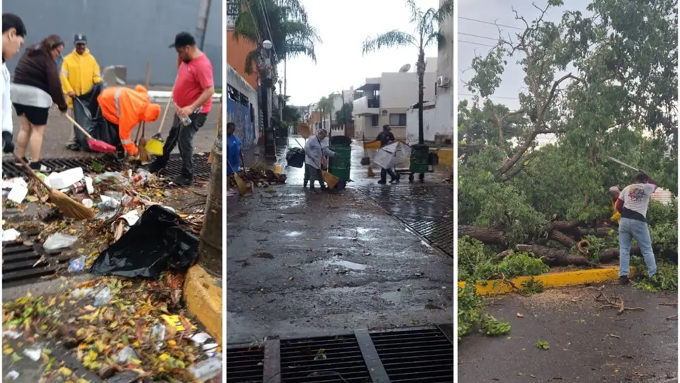 Mazatlán responde con rapidez a afectaciones por lluvias