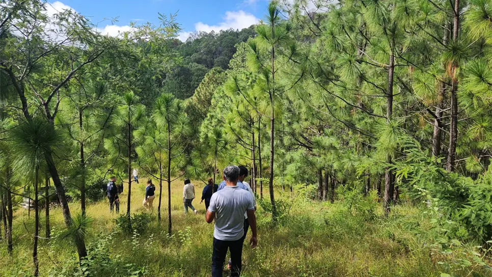 Se trata de un paraíso natural cercano a El Zapote de Madriles. (FOTO: Osmar Zavala).