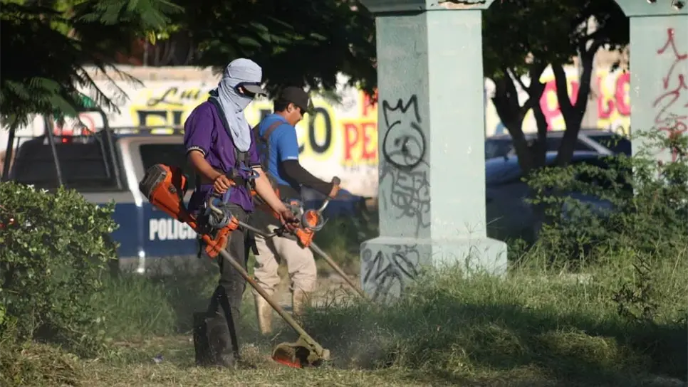 Con Mazatlán te quiero limpio", el puerto supera los 800 metros cúbicos de basura recolectada