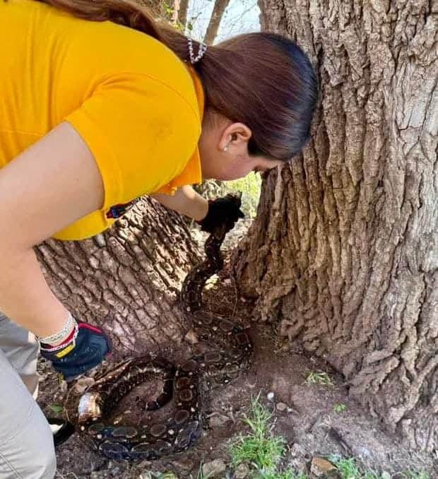 Imagen Placeholder Imagen Placeholder