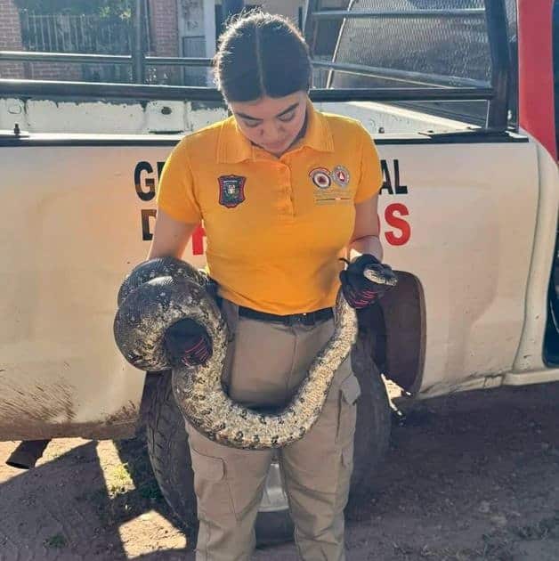 Imagen Placeholder Imagen Placeholder