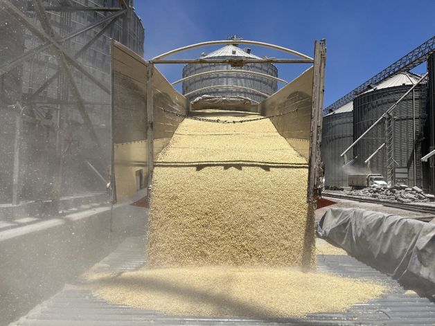 Imagen Placeholder Imagen Placeholder