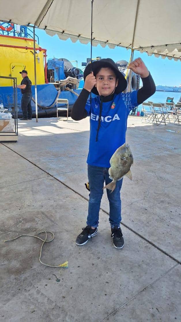 Imagen Placeholder Imagen Placeholder