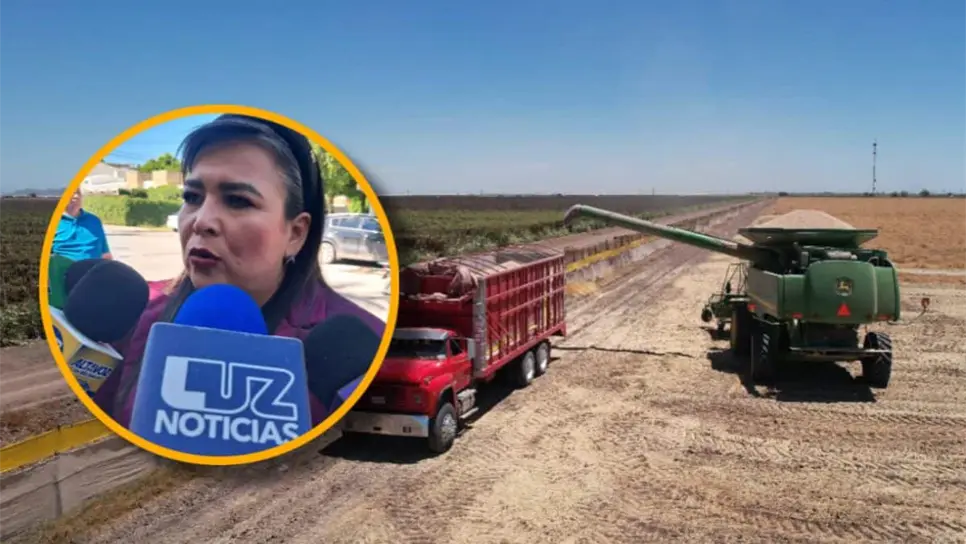 Diputada federal, Ana Ayala, garantiza atención puntual a productores sinaloenses