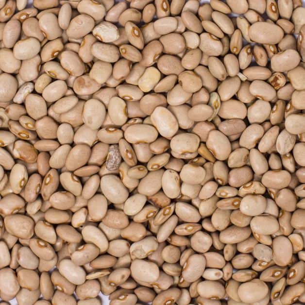 Imagen Placeholder Imagen Placeholder