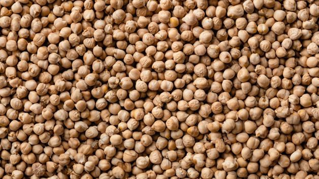 Imagen Placeholder Imagen Placeholder