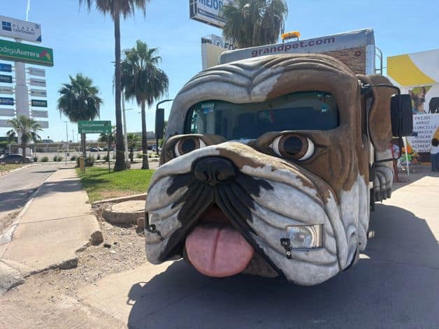 Imagen Placeholder Imagen Placeholder