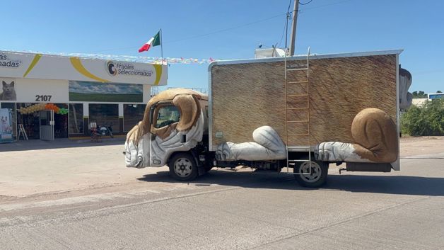 Imagen Placeholder Imagen Placeholder