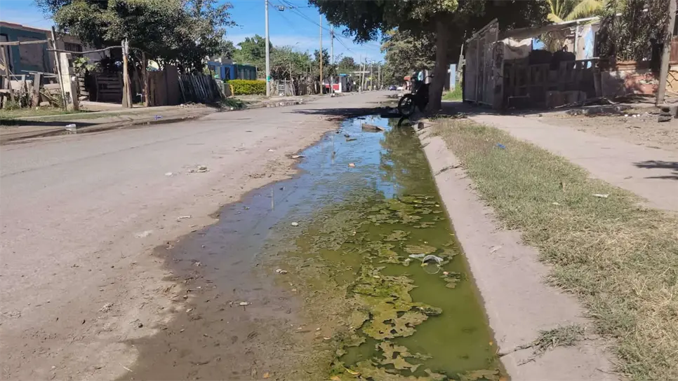 Esto debes hacer si un drenaje colapsado está cerca de tu hogar, según la COEPRISS