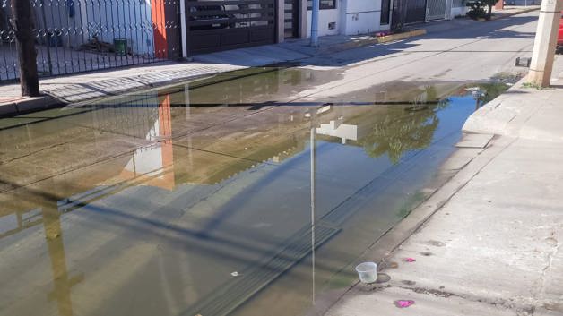 Imagen Placeholder Imagen Placeholder