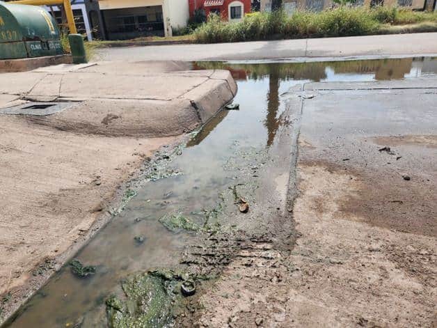 Imagen Placeholder Imagen Placeholder