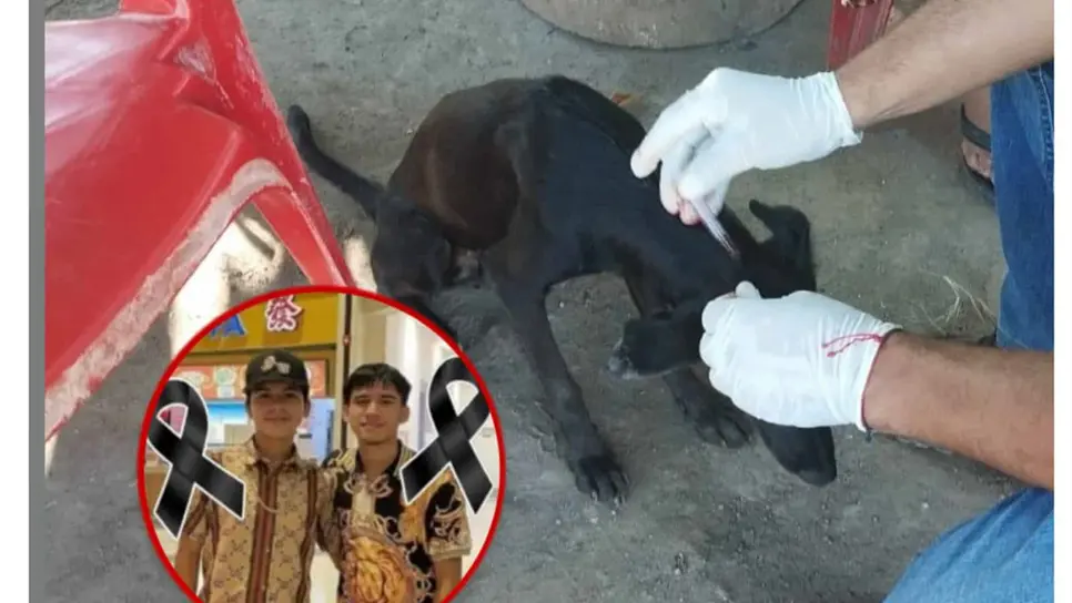 Se trata de dos hermanos, uno de 17 años y otro de 22 años de edad