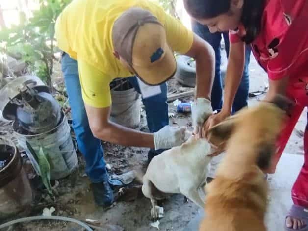 Imagen Placeholder Imagen Placeholder