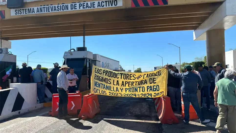 "Prefiero no sembrar que vender el maíz en 6 mil 50 pesos la tonelada": productores de Sinaloa