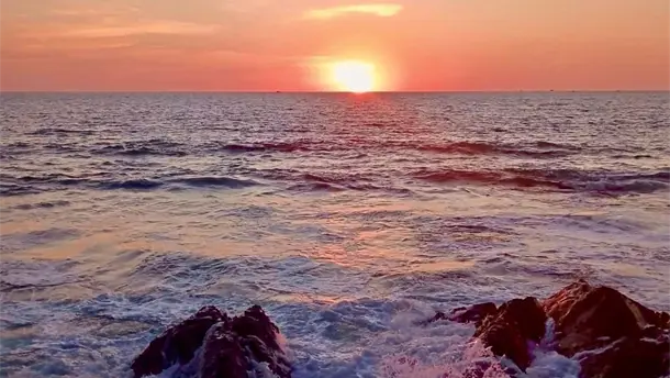 Nota Relacionada de Sinaloa