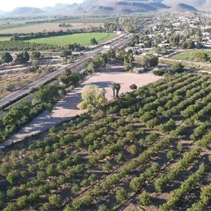 Insuficiente el presupuesto para el campo: CAADES Insuficiente el presupuesto para el campo: CAADES