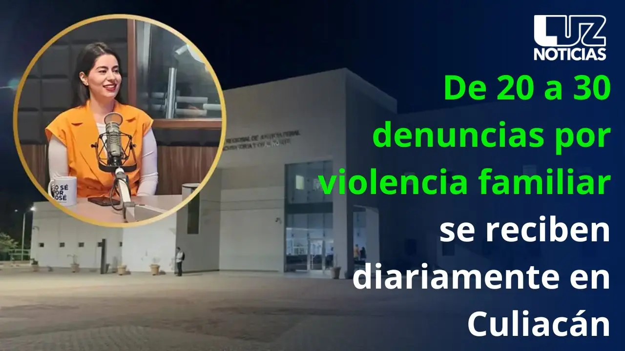 De 20 a 30 denuncias por violencia familiar se reciben diariamente en Culiacán De 20 a 30 denuncias por violencia familiar se reciben diariamente en Culiacán