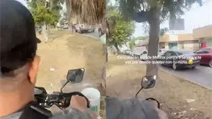 Motociclista usa camellón como carril de circulación y se vuelve viral en Los Mochis Motociclista usa camellón como carril de circulación y se vuelve viral en Los Mochis