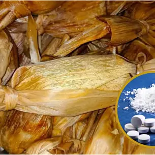 Hallan fentanilo en niña intoxicada tras comer tamales; autoridades investigan el caso