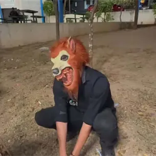 ¿Hay therians en Mazatlán?: La nueva comunidad de jóvenes se podría viralizar en Sinaloa