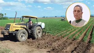 Sheinbaum anuncia simplificación de reglas para apoyos agrícolas; Sader se desplegará en Sinaloa