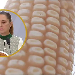 Claudia Sheinbaum anuncia apoyo a productores medianos de maíz