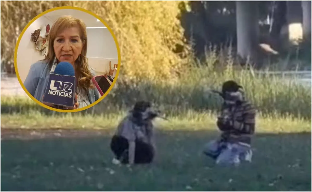 “Mientras no haya agresiones, no veo preocupación”: María Teresa Guerra llama a la tolerancia ante “therians”