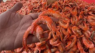 Camarón seco, la botana callejera preferida por mazatlecos: ¿Cuánto cuesta? |VIDEO