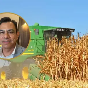 Industria rechaza bajar las bases del trigo; advierte panorama complicado para el sector