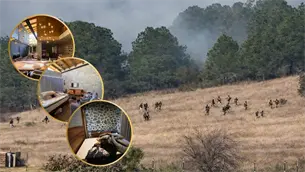 FOTOS: Así es por dentro el refugio de El Mencho en Tapalpa: Lujos, equipo médico y santos