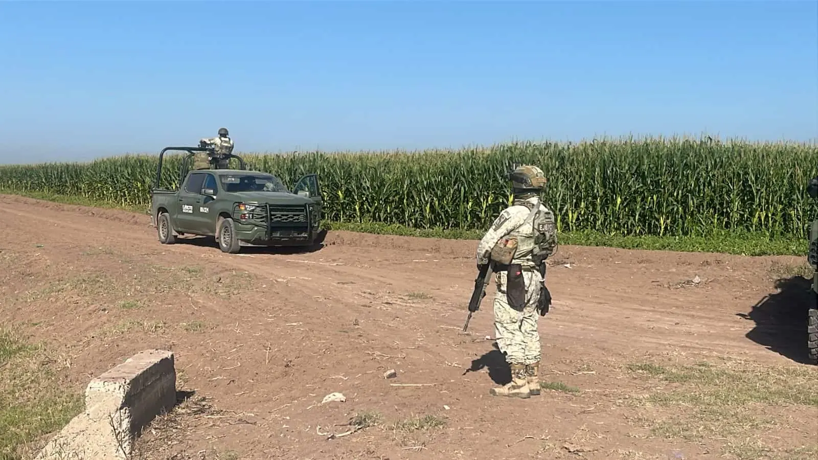 Localizan a un hombre ejecutado en un campo de tomates en Villa Juárez, Navolato