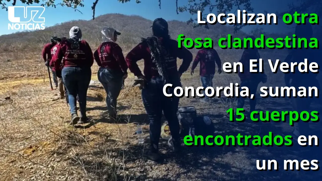 Localizan otra fosa clandestina en El Verde Concordia, suman 15 cuerpos encontrados en un mes Localizan otra fosa clandestina en El Verde Concordia, suman 15 cuerpos encontrados en un mes